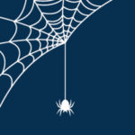 Spyder Web Pro